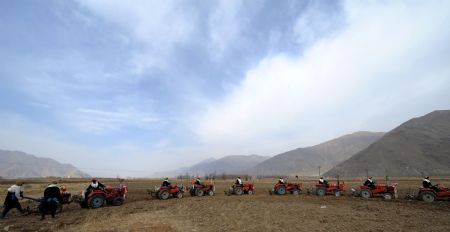 Villagers drive tractors in a row during a ceremony to mark the start of the spring farming season at Dagze County, southwest China's Tibet Autonomous Region, March 15, 2009. [Chogo/Xinhua]