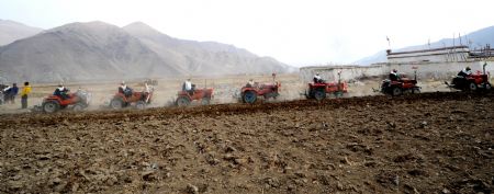 Villagers drive tractors in a row during a ceremony to mark the start of the spring farming season at Dagze County, southwest China's Tibet Autonomous Region, March 15, 2009. [Chogo/Xinhua]