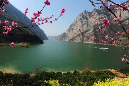 Photo taken on March 13, 2009 shows the fields of blooming rape flowers and the magnificent Three Gorges Dam, in Zigui, central China's Hubei Province. [Zheng Jiayu/Xinhua] 