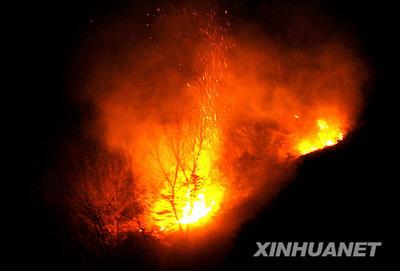 The fire fanned by gale wind has engulfed some 20 hectares of forest in Lingshou County, which is under the administration of the provincial capital of Shijiazhuang, some 250 km away from Beijing. 