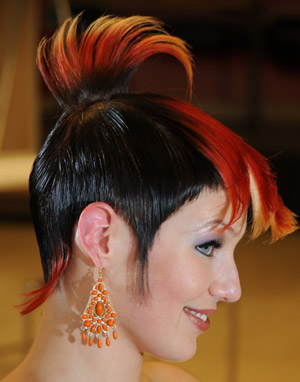 A model displays a hairstyle designed by a competitor during the 2009 Helsinki Hairstyle Competition in Helsinki, capital of Finland, March 14, 2009. The tow-day competition started on March 14. Hairdressers from Finland, Russia and Japan took part in the competition. [Xinhua]