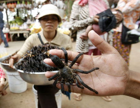 A vendor selling deep-fried spiders poses with a spider as she waits for costumers at bus station at Skun, Kampong Cham province, east of Phnom Penh March 14 ,2009. It costs $2 for 10 deep-fried spiders, which come seasoned with garlic. The fist-sized arachnids are crunchy on the outside and taste like cold, gooey chicken on the inside. Picture taken March 14, 2009. [Xinhua/Reuters]