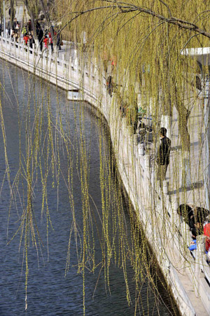 People enjoy warm weather in the spring along a river as osiers begin to sprout when the temperature reaches 20 degrees centigrade in Jinan, capital of east China's Shandong Province, March 16, 2009. [Zhu Zheng/Xinhua]