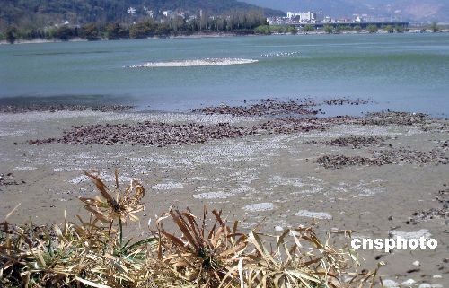 The picture taken on February 23, 2009 shows water level of the Dianchi Lake is going down due to severe drought in the area. The local government announced on March 16 it would allocate 1 billion yuan (US$146 million) to clean up the lake.