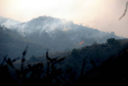 Photo taken on March 18, 2009 shows the scene of a forest fire at Junying Village of Zanhuang County, north China's Hebei Province. The fire starting on March 16 has engulfed 26.7 hectares of forest by March 18. [Yang Shiyao/Xinhua] 