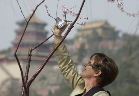 A tourist takes photos at the Summer Palace in Beijing, March 19, 2009.[Xing Guangli/Xinhua]