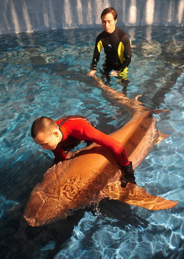 Two staff members help a 'nurse shark' adapt to the pool water at an aqua-marine life rescue and protection base in Guangzhou, south China's Guangdong province, March 19, 2009. Fishery administrators in Guangzhou have saved the animal from a restaurant which is planning to put it on dish menus. [Xinhua]