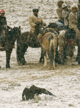 Herders watch as a falcon catches its prey during a hunting demonstration on the Second Falcon Cultural Festival in Akqi county, northwest China's Xinjiang Uygur autonomous region on March 21, 2009. [Xinhua]