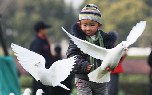 Photo taken on February 10, 2009 shows a boy is feeding the pigeons at Shanghai's People's Square. [Xinhua]  