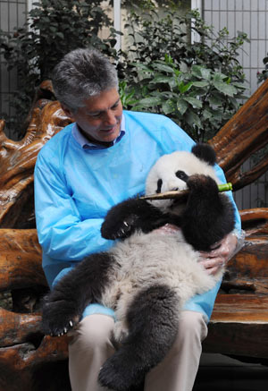 Australian Foreign Minister Stephen Smith holds a giant panda at the Chengdu gaint panda breeding base in Chengdu, capital of southwest China's Sichuan Province, March 25, 2009. Stephen Smith visited Sichuan Province on Wednesday.[Xinhua]