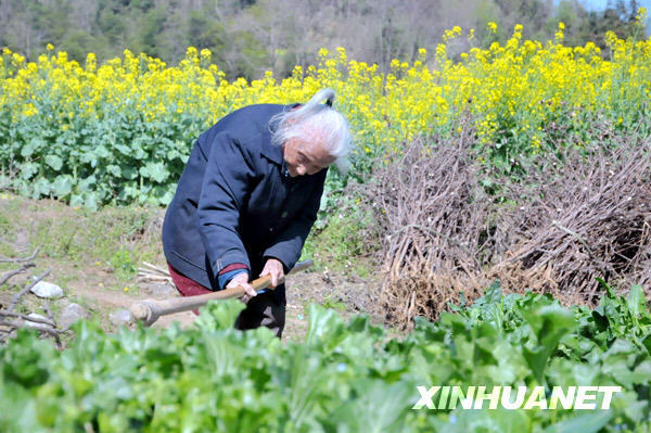 Lin Erde aged 106, works in the field at Zhangkeng Village of De'an County, east China's Jiangxi Province, Mar. 24, 2009.[Li Shibiao/Xinhua] 