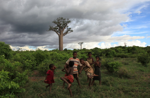 Children play near a baobab tree in Madagascar. [Yan Xiaoqing/China.org.cn]