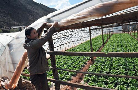 Photot taken on March 24, 2009 shows Shengge villager Li Qinxiang in her greenhouse. [Xinhua photo]