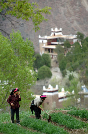 Two Tibetan women work in their field in Jiaju Tibetan Village in Tibetan Autonomous Prefecture of Garze in southwest China's Sichuan Province, March 24, 2009. 