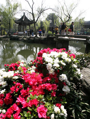 Visitors pass by blossoming flowers in a rhododendron festival held at the Humble Administrator&apos;s Garden in Suzhou, east China&apos;s Jiangsu Province, March 25, 2009. There will be more than 30,000 pots of rhododendron of over 100 kinds to be displayed during the festival opened here on Wednesday.
