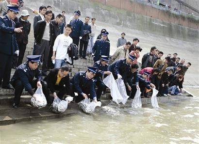 A total of 70,000 fish were released into the Yangtze River, the longest in China, from Wuhan, capital of Hubei Province, Thursday. [Chutian Metropolis Daily] 