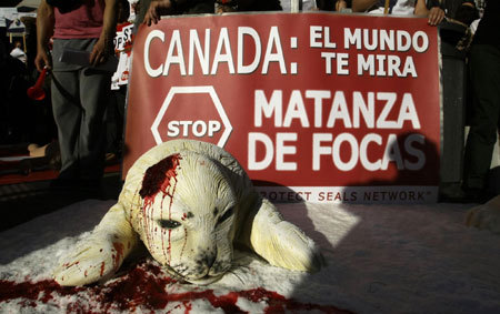 Animal rights activists protest against Canada's seal hunt in front of the Canadian embassy in Madrid, Spain, March 26, 2009. The banner reads 'Canada: the world is watching you. Stop the killing of seals'. [Agencies]