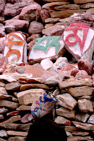 A woman of Tibetan ethnic group passes by the Mani Stone Mound in Xinzhai Village, Yushu County, Tibetan Autonomous Prefecture of Yushu, northwest China's Qinghai Province, on March 24, 2009.