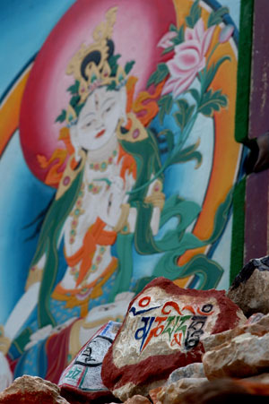 Mani stones are seen on the Jiana Mani Stone Mound in Xinzhai Village, Yushu County, Tibetan Autonomous Prefecture of Yushu, northwest China's Qinghai Province, on March 24, 2009. 