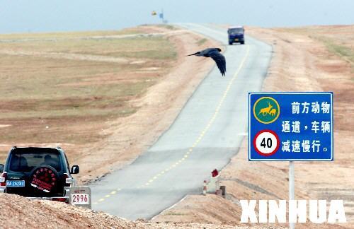 A traffic sign on the Qinghai-Tibet Highway requests drivers to slow down as they approach a crossing-place for wild animals. [File photo from Xinhua]