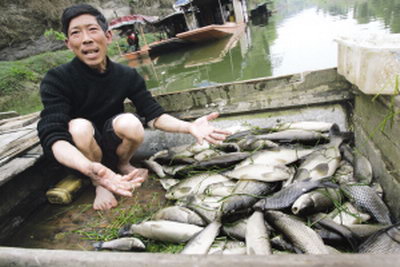 Thousands of fish were found floating in Fujiang River in Tongnan County on Monday, triggering scare among local villagers. [Chongqing Times]