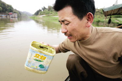 A fisher smelled the water from Fujiang River in Tongnan County. Water quality tests in the river showed the chemical oxygen demand slightly exceeded the normal level.