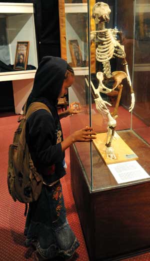 A student looks at a statue of "Lucy", 3.2 million-year-old humanoid fossil, in the National Museum in Addis Ababa, capital of Ethiopia, April 8, 2009.