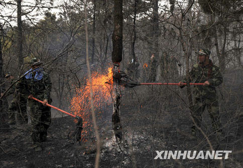 Soldiers are fighting the forest fire in northeast China's Liaoning Province April 9, 2009.