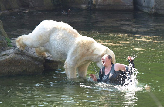 One polar bear attacks a German woman who jumps into its enclosure at Berlin Zoo on Saturday.[Chinanews.cn]