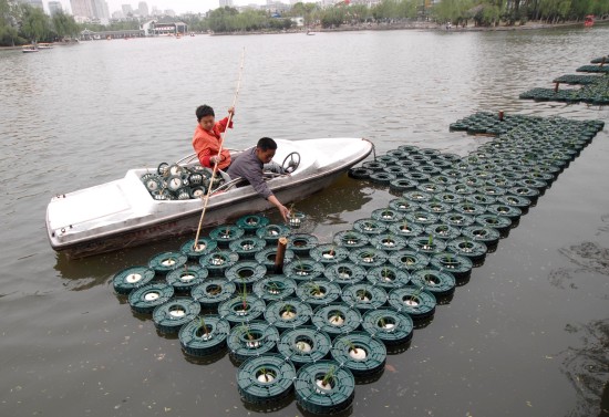 Photo taken on April 11, 2009 shows employees cultivating aquatic plants on the artificial floating island in the Apricot Blossom Park of Hefei, capital city of Anhui Province. This floating island, made up of over 1,600 circular ecological floating beds, aims to purify water and solve issues of algae bloom. [Xinhua] 