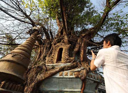 A man shoots with a vidicon a Dagoba wrapt up by a 210-year-old bodhi tree in the city of Luxi under Dehong Dai and Jingpo Autonomous Prefecture in southwest China's Yunnan Province, April 13, 2009. The 11.6-meter-high tope dates back to the reign of Emperor Kangxi (1662-1722) of the Qing Dynasty.