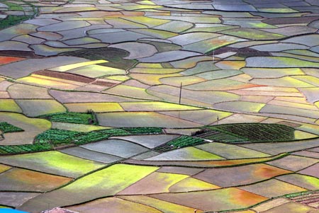 Photo taken on April 14, 2009 shows colorful paddyfields in Xianhui Township of Zhaoping County, southwest China's Guangxi Autonomous Region. The patches of paddyfields form a watercolor painting in the spring. [Yu Xiangquan/Xinhua]