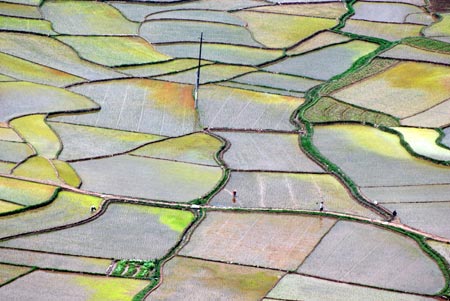 Photo taken on April 14, 2009 shows colorful paddyfields in Xianhui Township of Zhaoping County, southwest China's Guangxi Autonomous Region. The patches of paddyfields form a watercolor painting in the spring. [Yu Xiangquan/Xinhua]