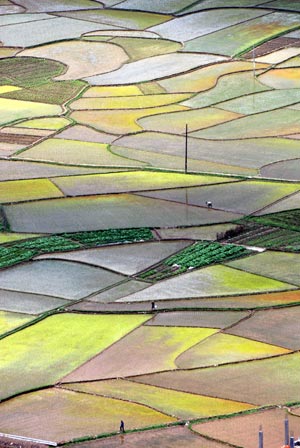 Photo taken on April 14, 2009 shows colorful paddyfields in Xianhui Township of Zhaoping County, southwest China's Guangxi Autonomous Region. The patches of paddyfields form a watercolor painting in the spring. [Yu Xiangquan/Xinhua]