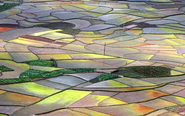 Photo taken on April 14, 2009 shows colorful paddyfields in Xianhui Township of Zhaoping County, southwest China's Guangxi Autonomous Region. The patches of paddyfields form a watercolor painting in the spring. [Xinhua]