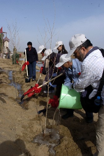 Deputy members from China and Japan planted trees in Yangguan scenic area of Dunhuang City, Gansu Province April 13. The planting of the Yangguan shelterbelt, a series of trees to provide a row of defense against strong winds, officially started on that day. [Xinhua]