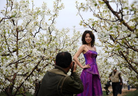 A photographer takes photos of a model in the pear forest at Qi County, north China&apos;s Shanxi Province, April 14, 2009. The 2nd Pear Blossom Tour Festival opened here on Tuesday. (Xinhua/Yan Yan) 