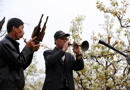 Local people perform folk music during the opening ceremony of the 2nd Pear Blossom Tour Festival at Qi County, north China's Shanxi Province, April 14, 2009. (Xinhua/Meng Chenguang)