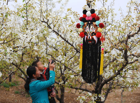 Visitors take photos in the pear forest at Qi County, north China's Shanxi Province, April 14, 2009. (Xinhua/Yan Yan)