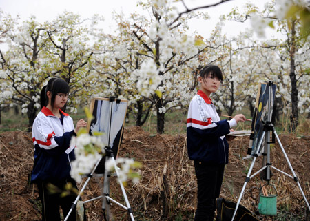 Local students paint in the pear forest at Qi County, north China's Shanxi Province, April 14, 2009. (Xinhua/Yan Yan)