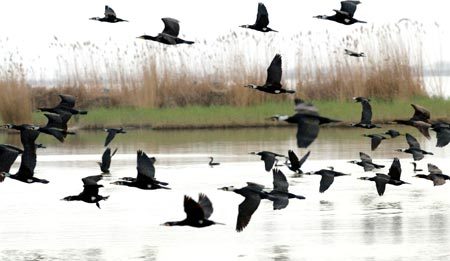 Picture taken on April 14, 2009 shows a view of the Shahu nature reserve in northwest China's Ningxia Hui Autonomous Region. Shahu is home to nearly 200 species of birds. [Photo: Xinhua]