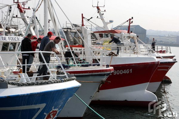 Ferry services across the English Channel are being disrupted by fishing protests in France. Fishermen have blocked the ports of Calais, Dunkerque and Boulogne-sur-Mer in protests at fish quotas which they say are too low. Here the port of Boulogne sur mer.[Humberto De Oliveira/CFP]