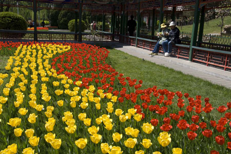 Visitors take a rest beside the blooming tulips at Zhongshan Park in Beijing, capital of China, April 15, 2009. The 14th tulip and spring flower show kicked off at Zhongshan Park on Thursday. [Photo: Xinhua] 