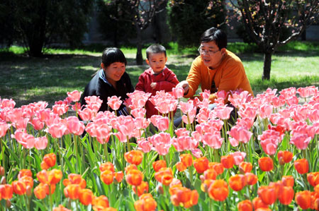Visitors view the blooming tulips at Zhongshan Park in Beijing, capital of China, April 15, 2009. The 14th tulip and spring flower show kicked off at Zhongshan Park on Thursday. [Photo: Xinhua] 