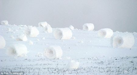 Surrounding blades of grass show how big some of the snow rollers are.[CRI]