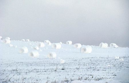 Not a single footprint can be seen in the snow.[CRI]