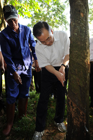 Chinese Premier Wen Jiabao (R) learns to cut rubber on a farm in Chengmai county, south China's Hainan Province April 19, 2009. [Huang Jingwen/Xinhua]