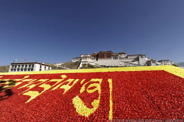 Potala Palace in Lhasa, southwest China's Tibet Autonomous Region. This photo is taken on early April this year. [Guo Xiaotian/China.org.cn]