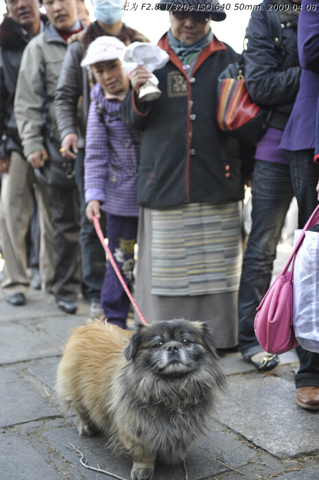 People line for visiting the Potala Palace in Lhasa, southwest China's Tibet Autonomous Region. This photo is taken on early April this year. [Guo Xiaotian/China.org.cn]