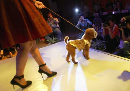 A model leads a dog wearing designed costume on a pet costume show held by Wenzhou Vocational and Technical College in Wenzhou City, east China's Zhejiang Province, April 22, 2009. [Zheng Peng/Xinhua]